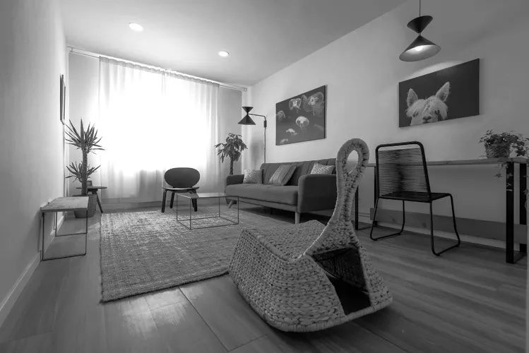 Foto de salón en un piso en alquiler