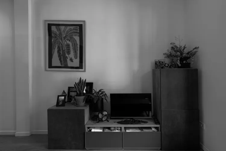 Foto de salón en un piso en alquiler