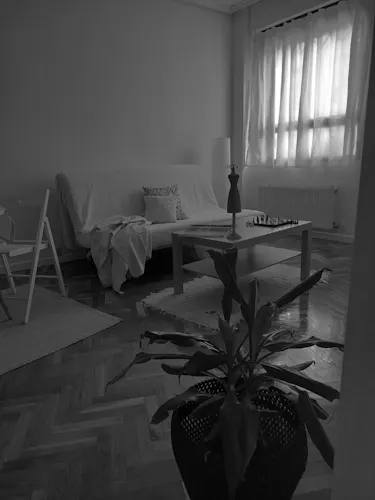 Foto de salón en un piso en alquiler