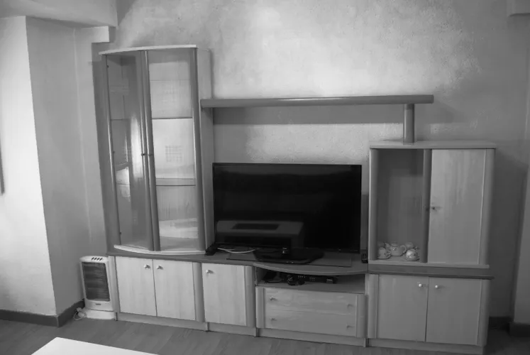 Foto de salón en un piso en alquiler