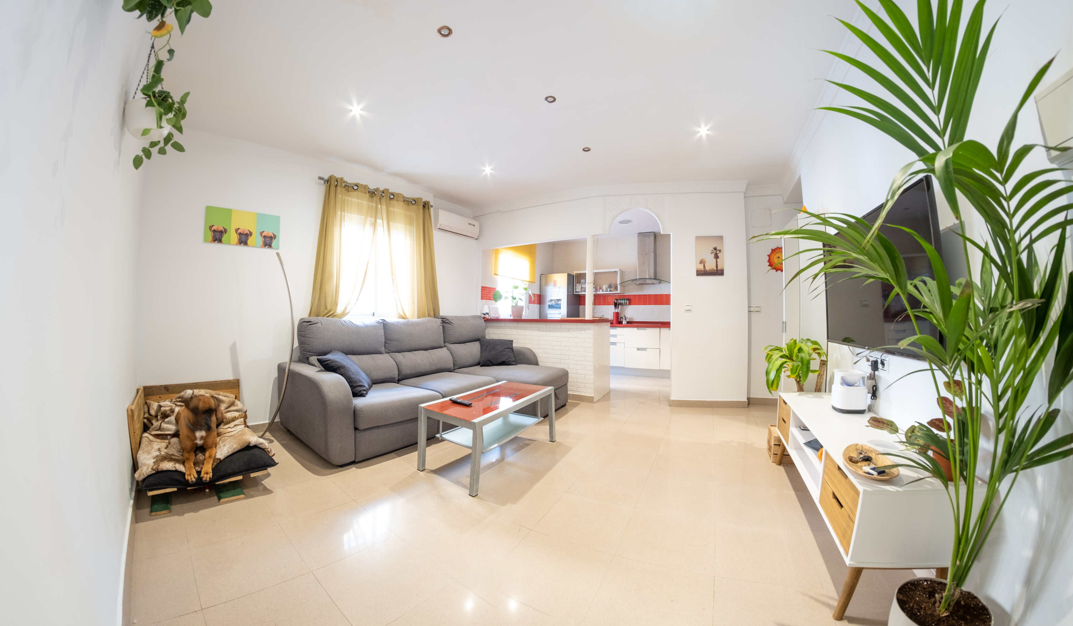 Foto del piso en alquiler