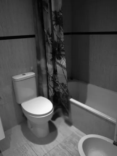 Foto de baño en un piso en alquiler