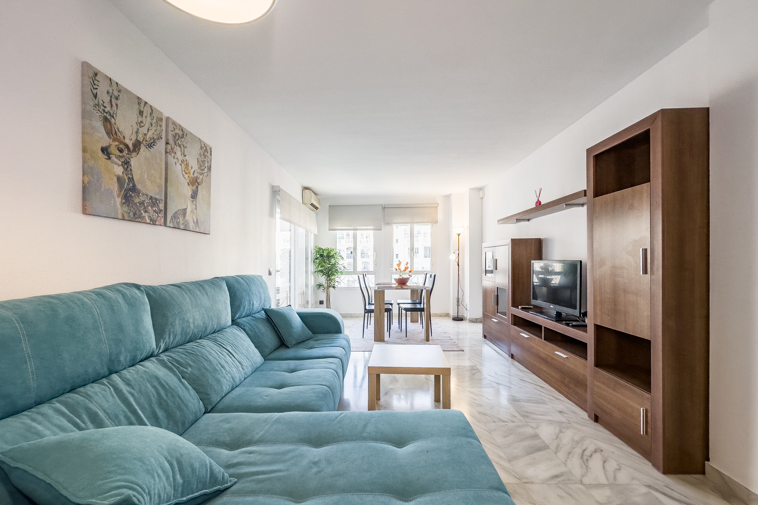 Photo of the flat for rent