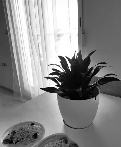 Foto de salón en un piso en alquiler