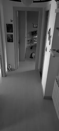 Foto de pasillo en un piso en alquiler
