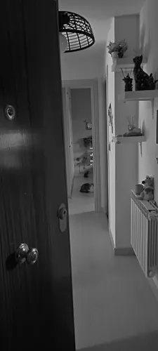 Foto de entrada en un piso en alquiler