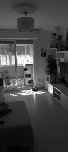 Foto de salón en un piso en alquiler