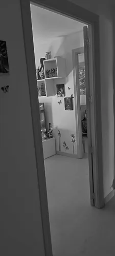 Foto de salón en un piso en alquiler
