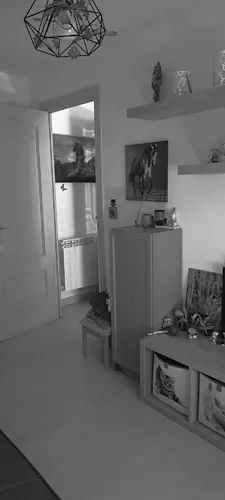 Foto de salón en un piso en alquiler