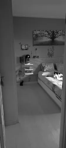 Foto del piso en alquiler