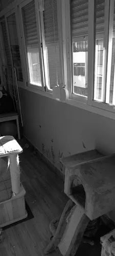 Foto de habitación en un piso en alquiler