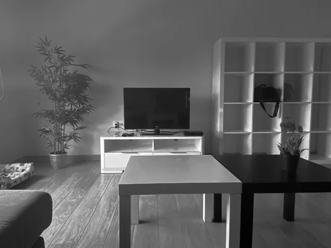 Foto de salón en un piso en alquiler