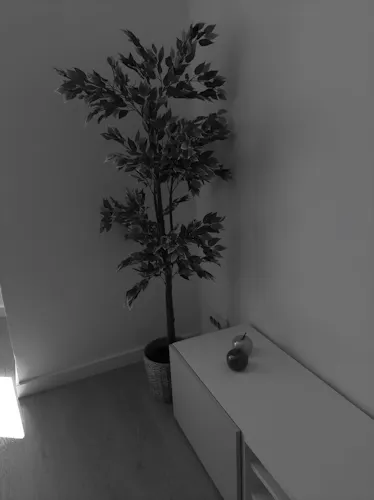 Foto del piso en alquiler