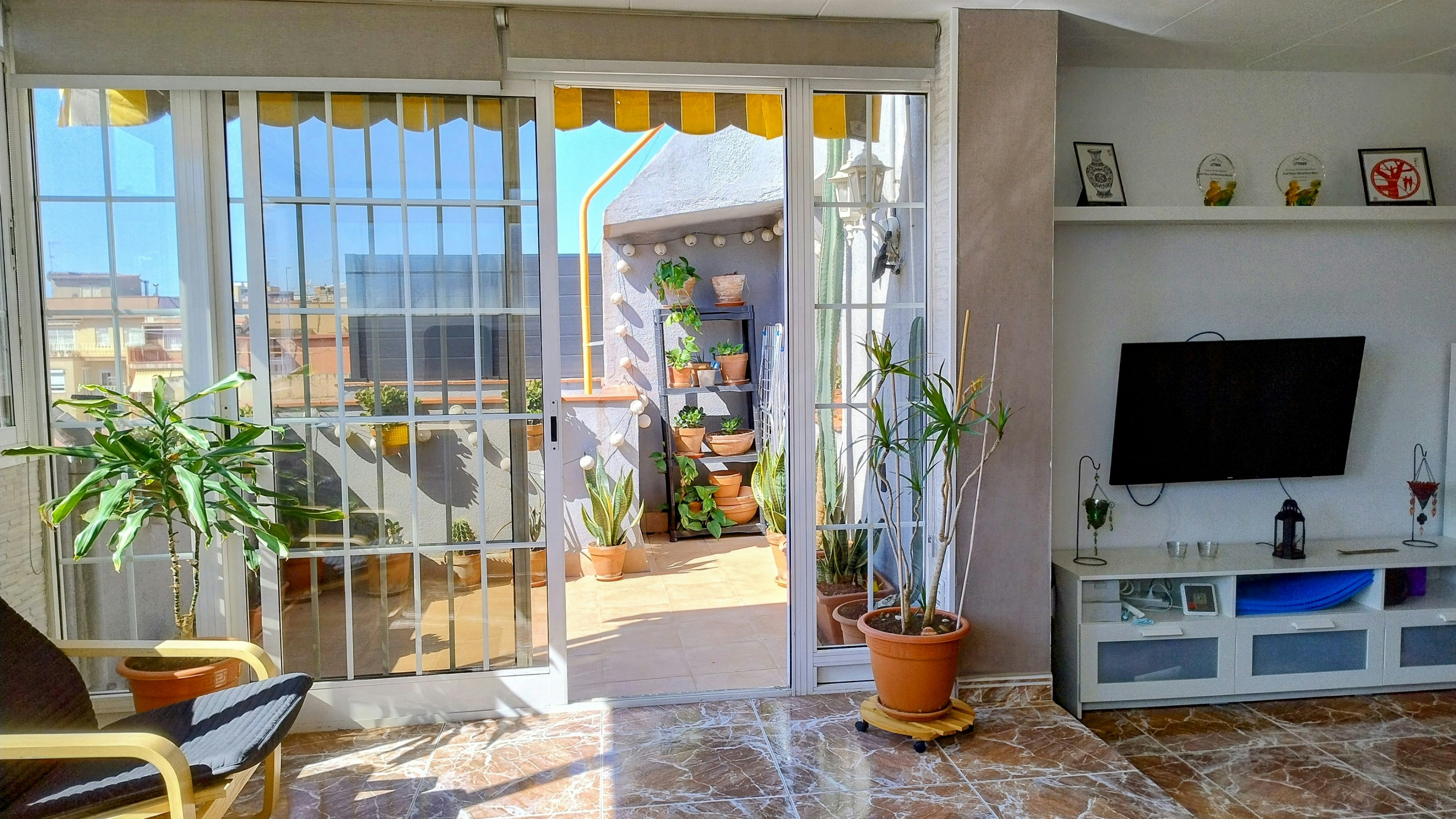 Photo of the flat for rent