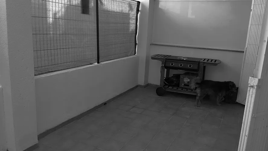 Foto del piso en alquiler