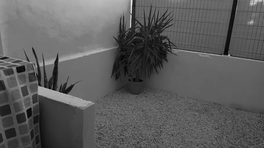 Foto del piso en alquiler