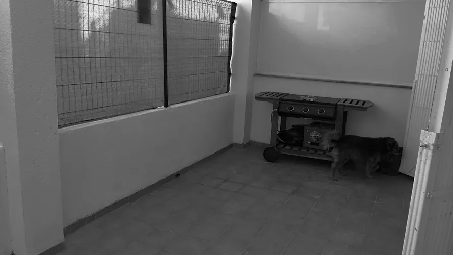 Foto del piso en alquiler