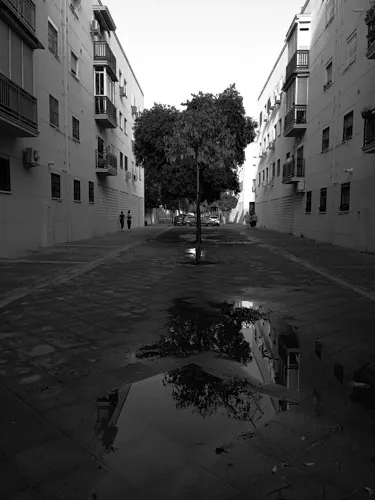 Foto del piso en alquiler