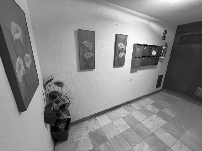 Foto de portal en un piso en alquiler