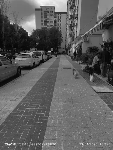 Foto del piso en alquiler