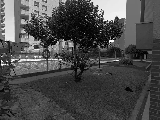 Foto del piso en alquiler