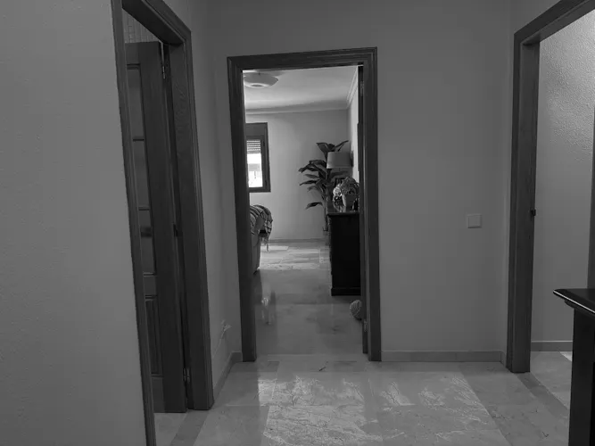 Foto del piso en alquiler