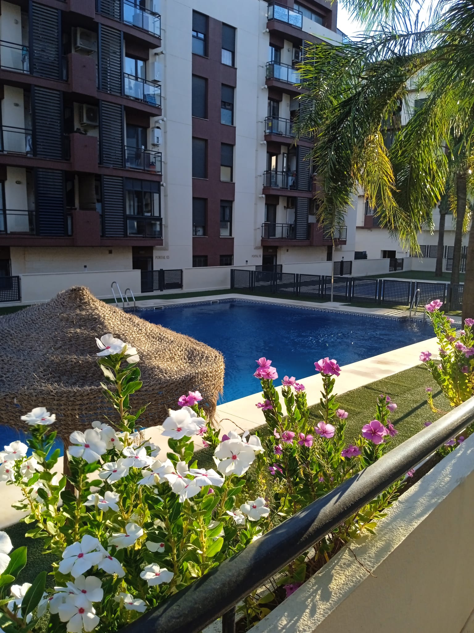 Photo of the flat for rent