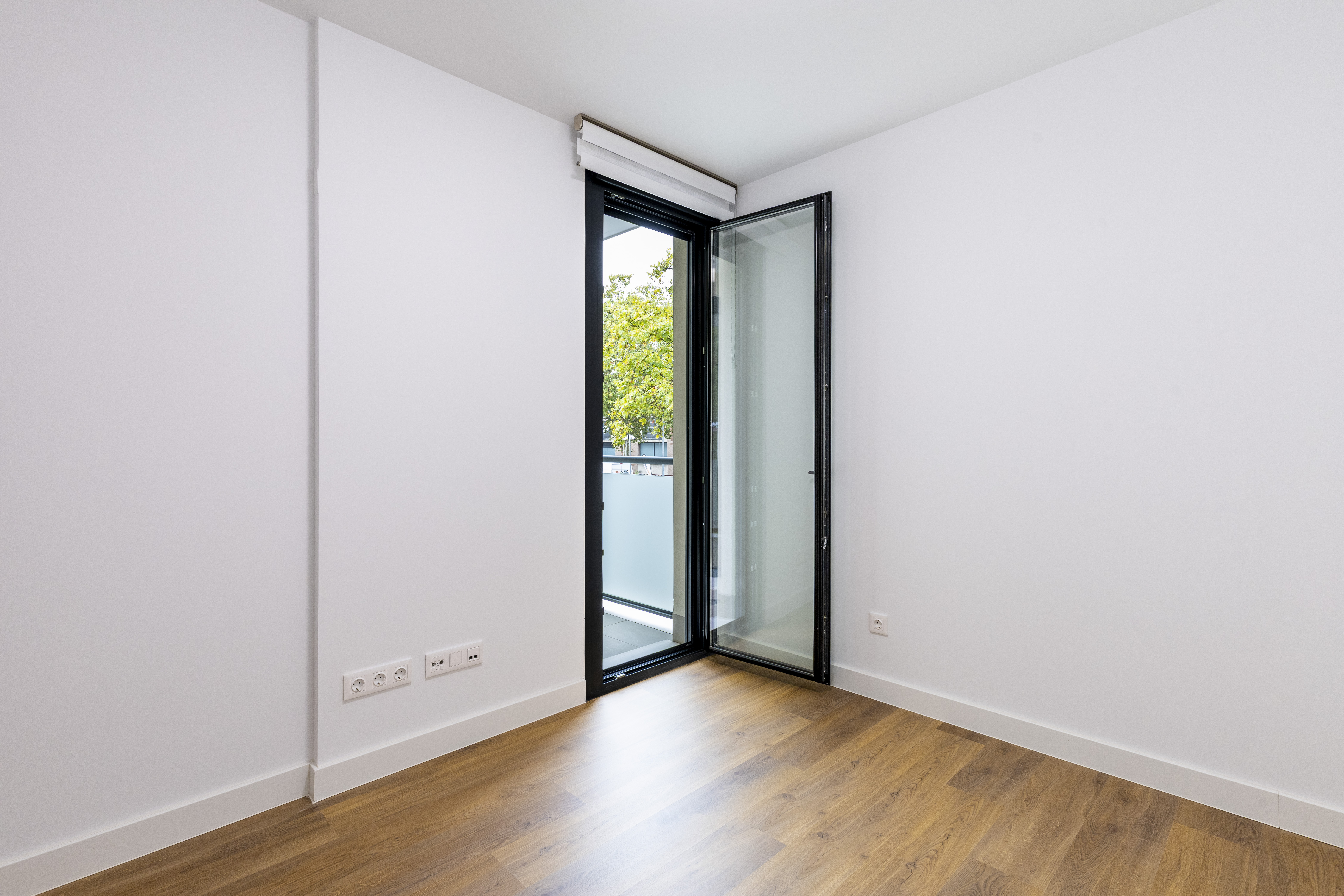 Photo of the flat for rent