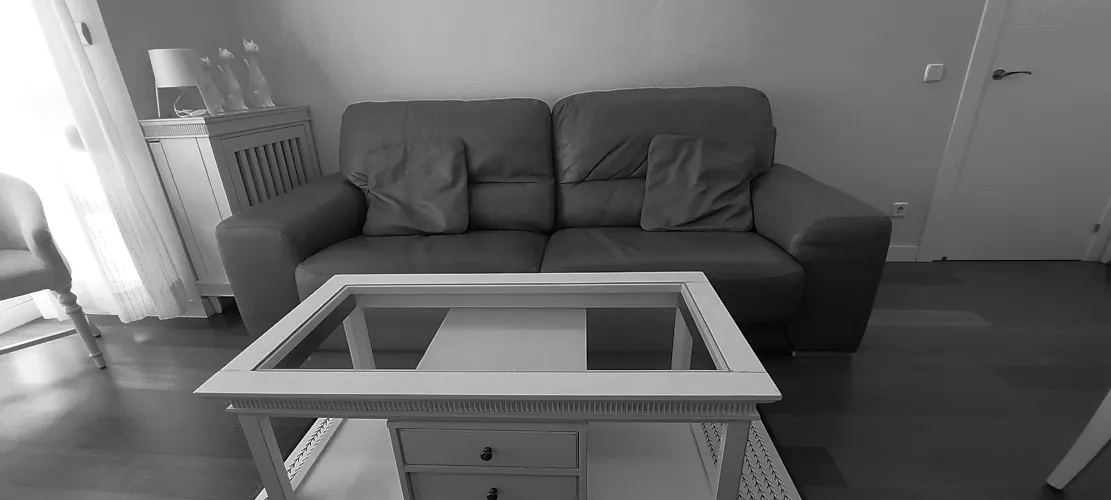 Foto de salón en un piso en alquiler
