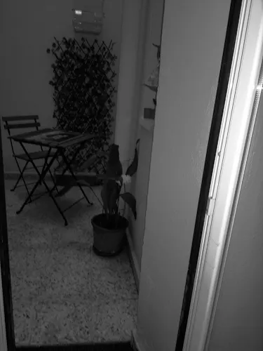 Foto del piso en alquiler