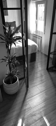 Foto de dormitorio en un piso en alquiler