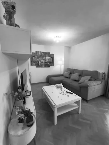 Foto de salón en un piso en alquiler