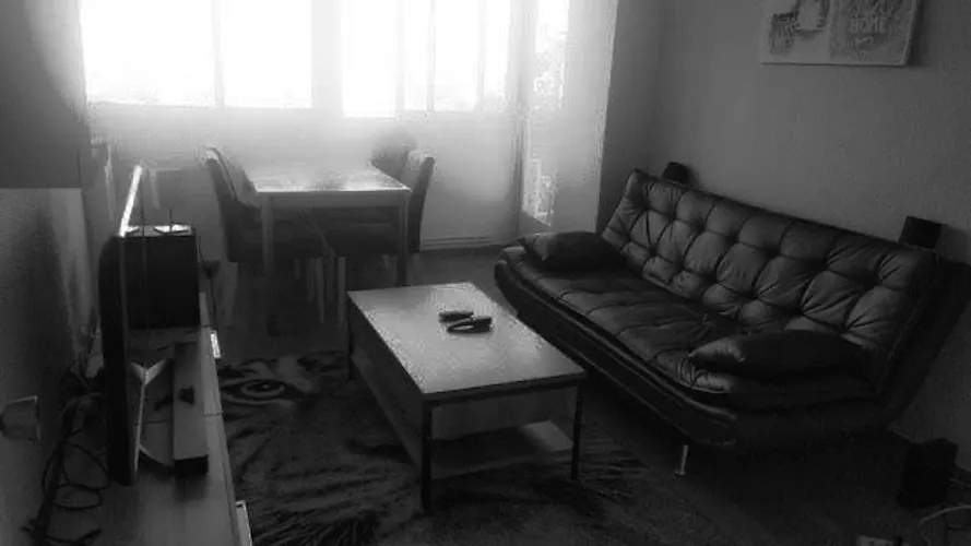Foto de salón en un piso en alquiler