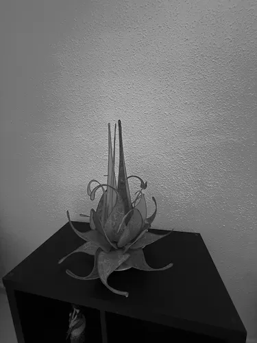 Foto de detalles en un piso en alquiler