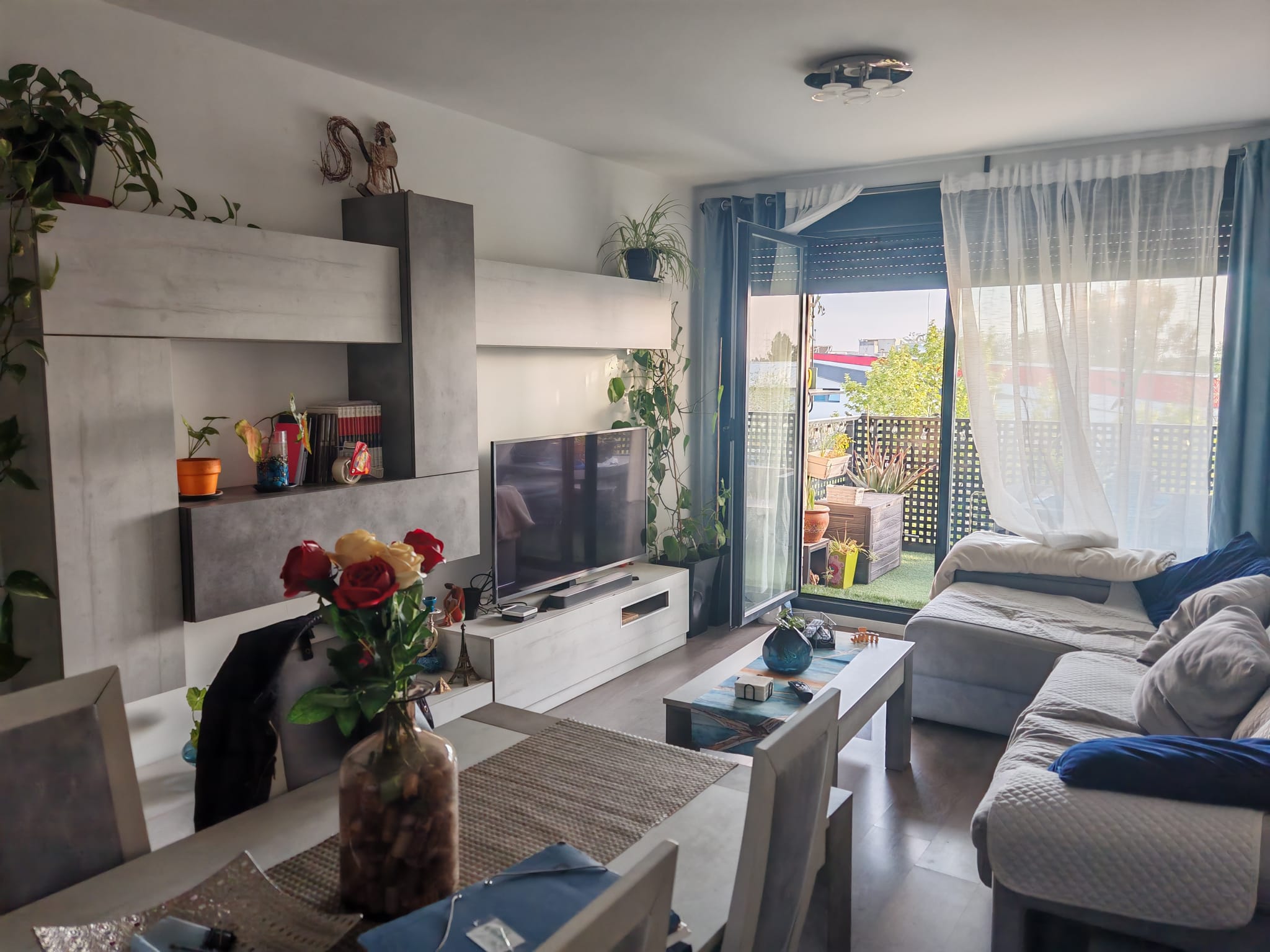 Photo of the flat for rent