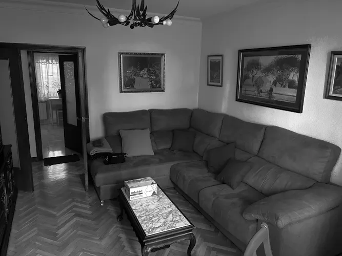 Foto de salón en un piso en alquiler