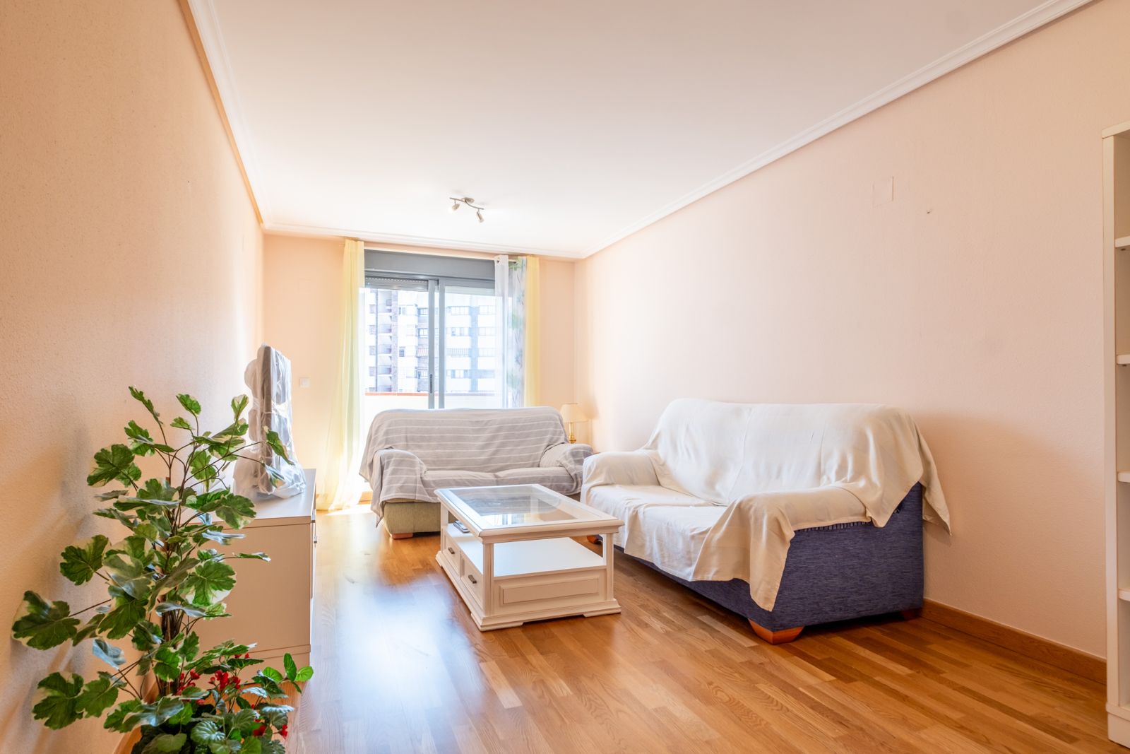 Photo of the flat for rent